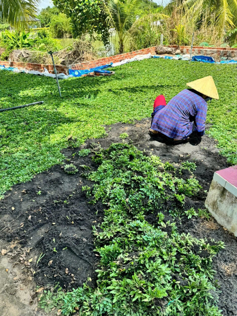 Z7145099910995 8644b1438203bf4cf76bb6fb777413b1